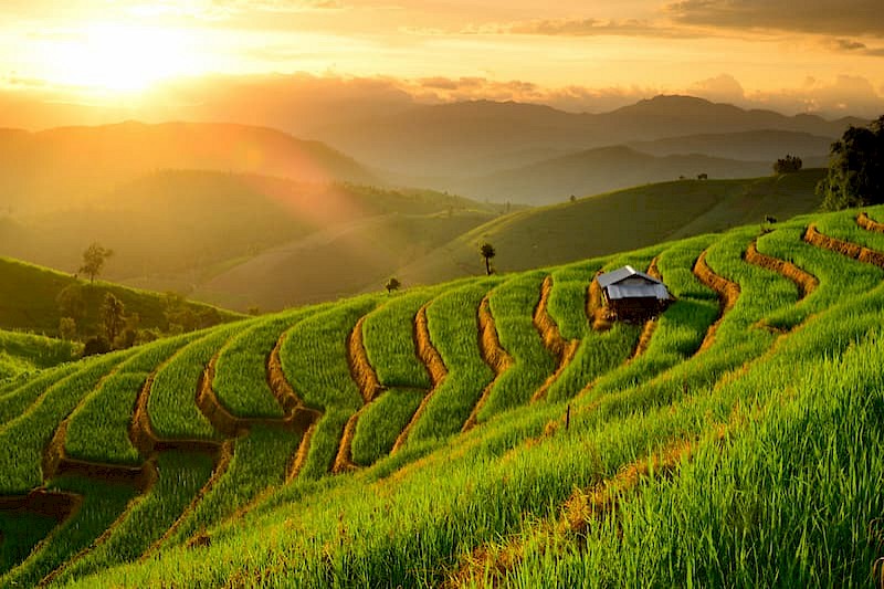 Amazing Thailand