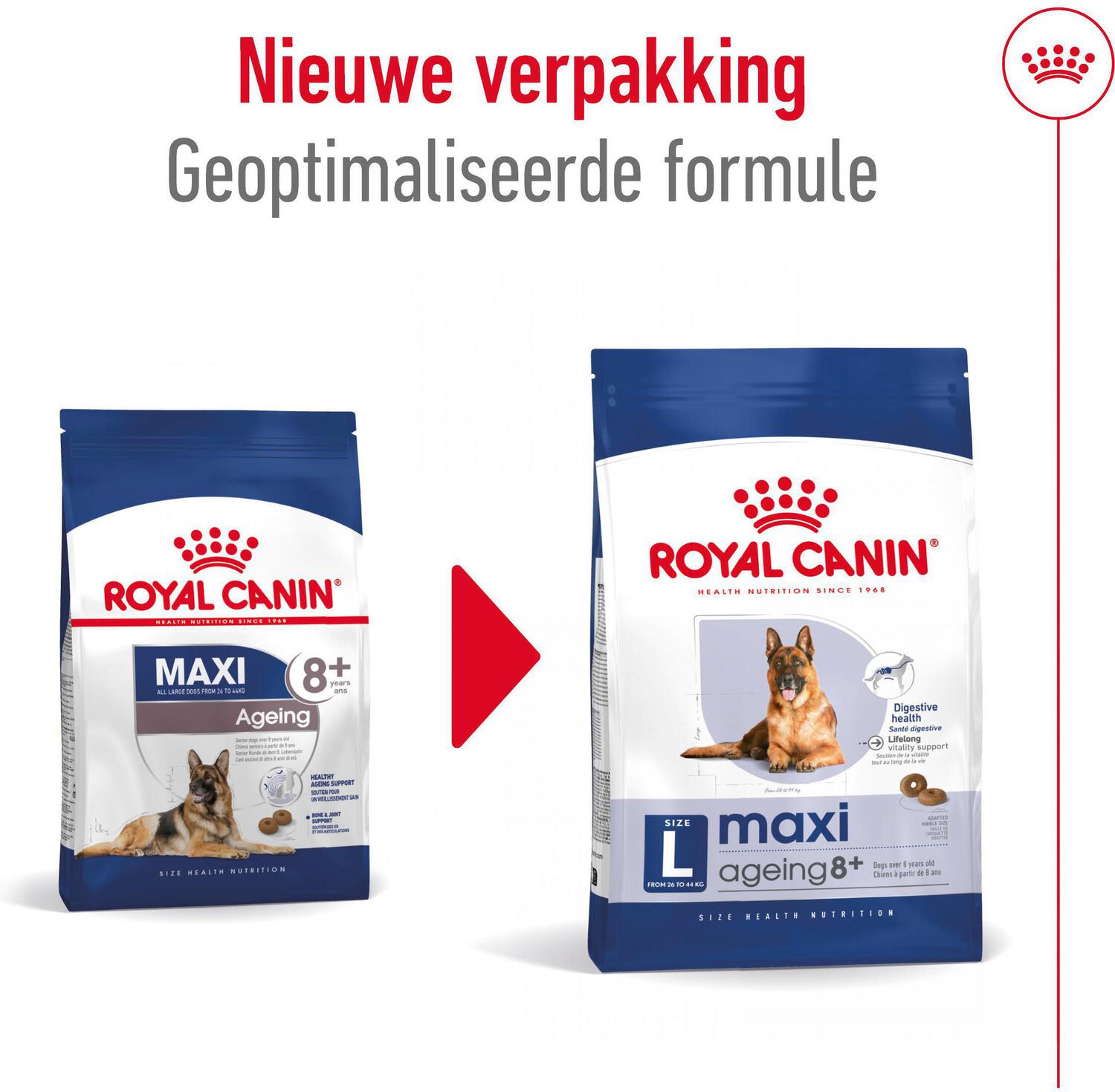 Royal Canin hondenvoer Maxi Ageing 8+ 3 kg