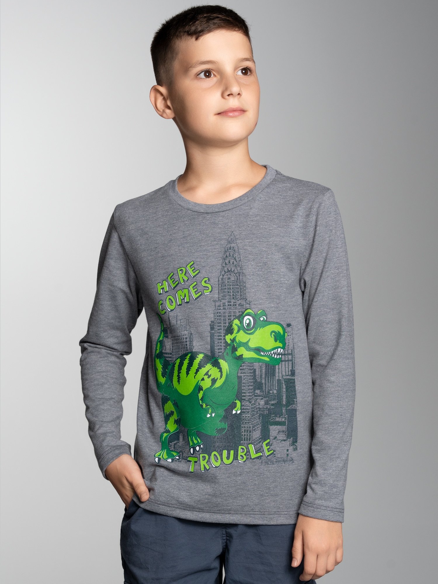 Langarmshirt mit Trouble Dino-Printmotiv Steingrau-melange