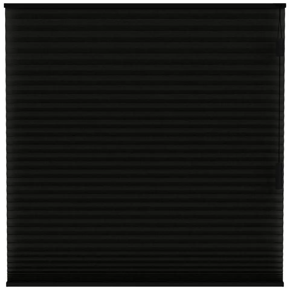 Fenstr plisségordijn Chicago dubbel 25mm lichtdoorlatend - zwart (15019)
