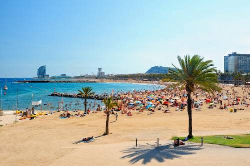 BCN Port