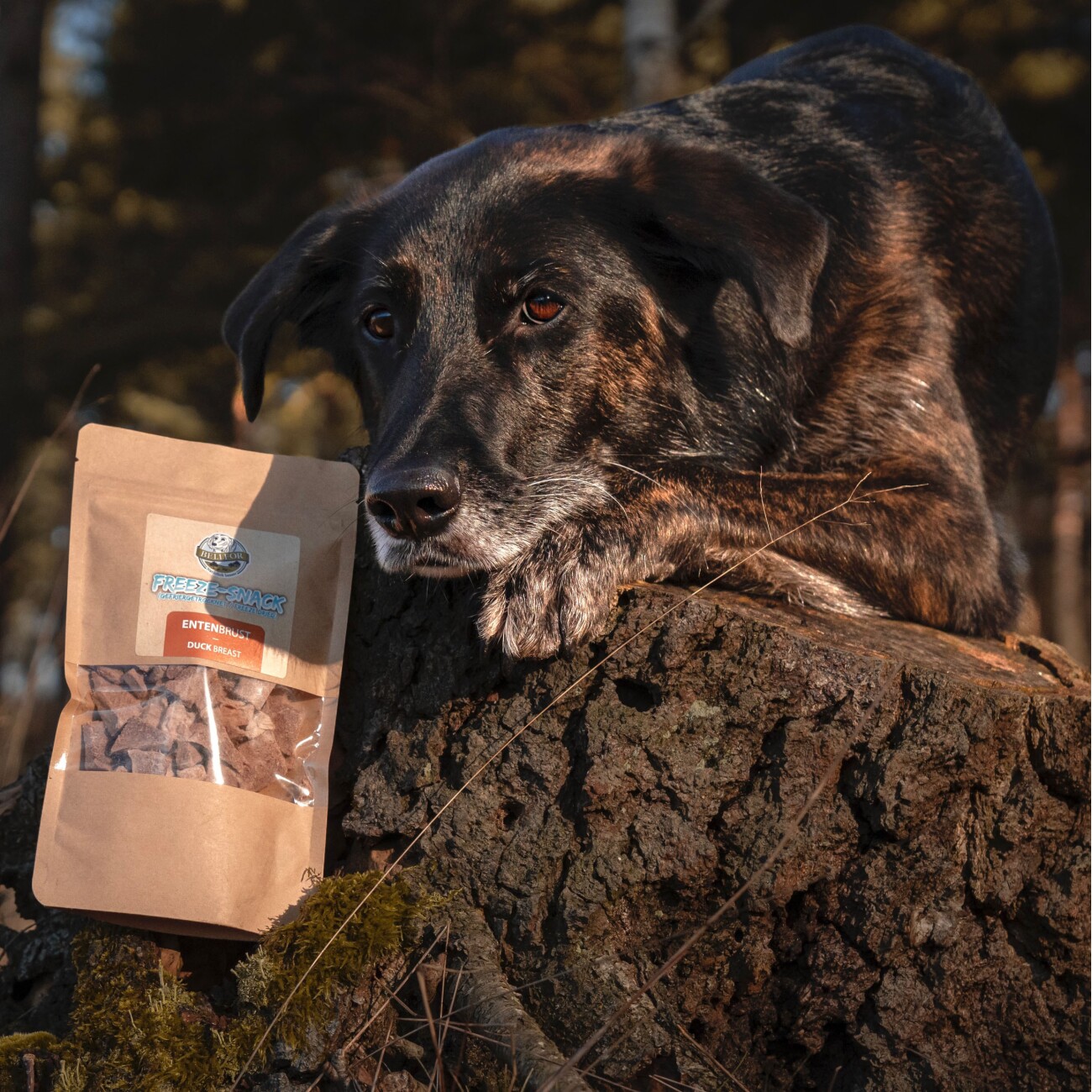 Bellfor Leckerbissen für Hunde mit Entenbrust - 50g