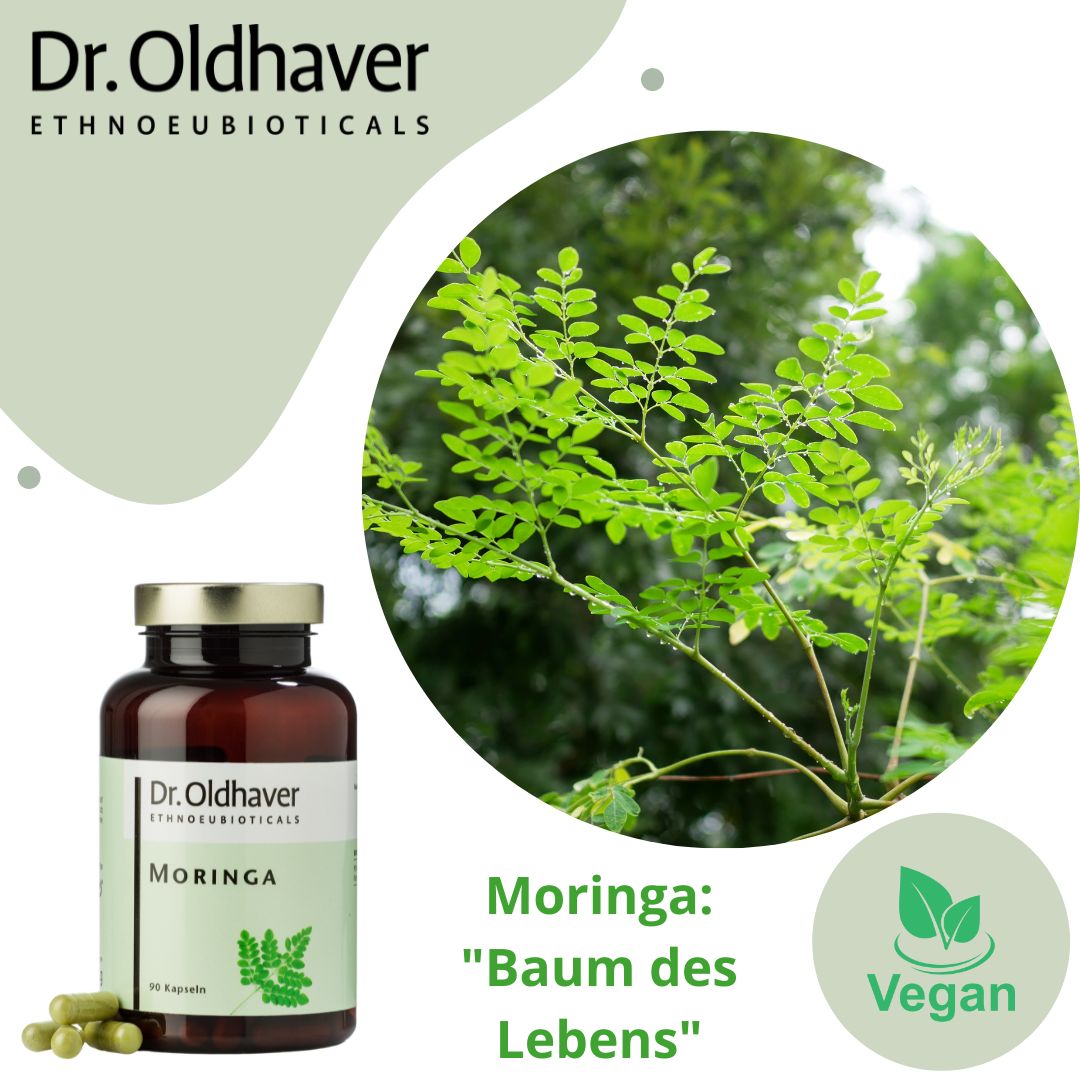 Dr. Oldhaver Moringa Kapseln
