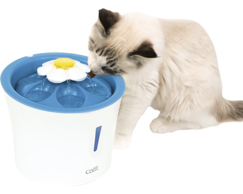 CA Drinkfontein, Bloemendrinkfontein, 3L, LED, Kattenfontein