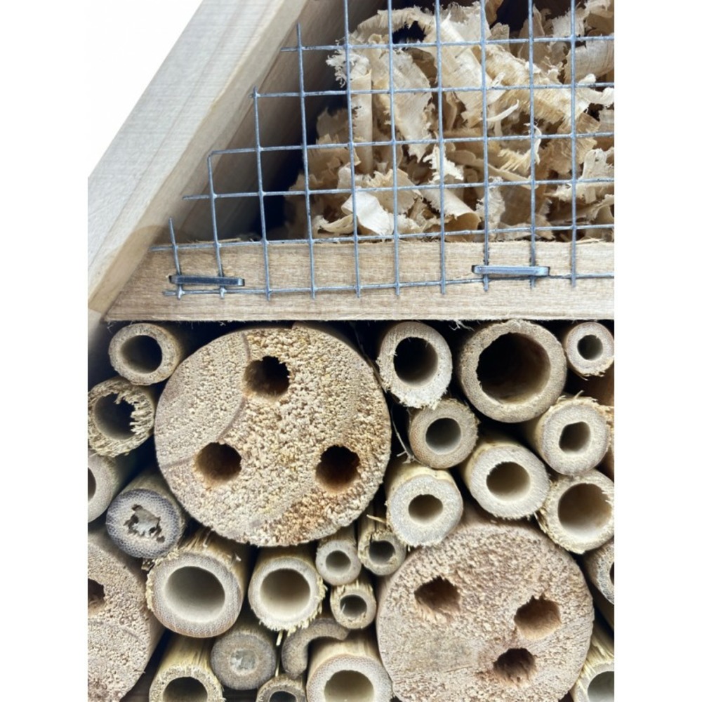 Hôtel à insectes