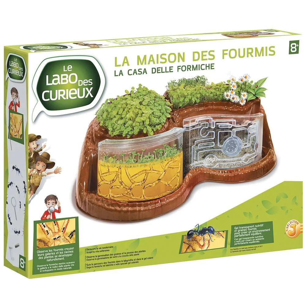 LA MAISON DES FOURMIS