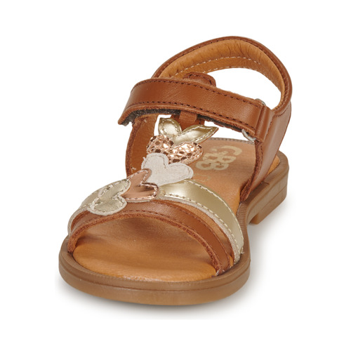 GBB - MAISIE - Marron
