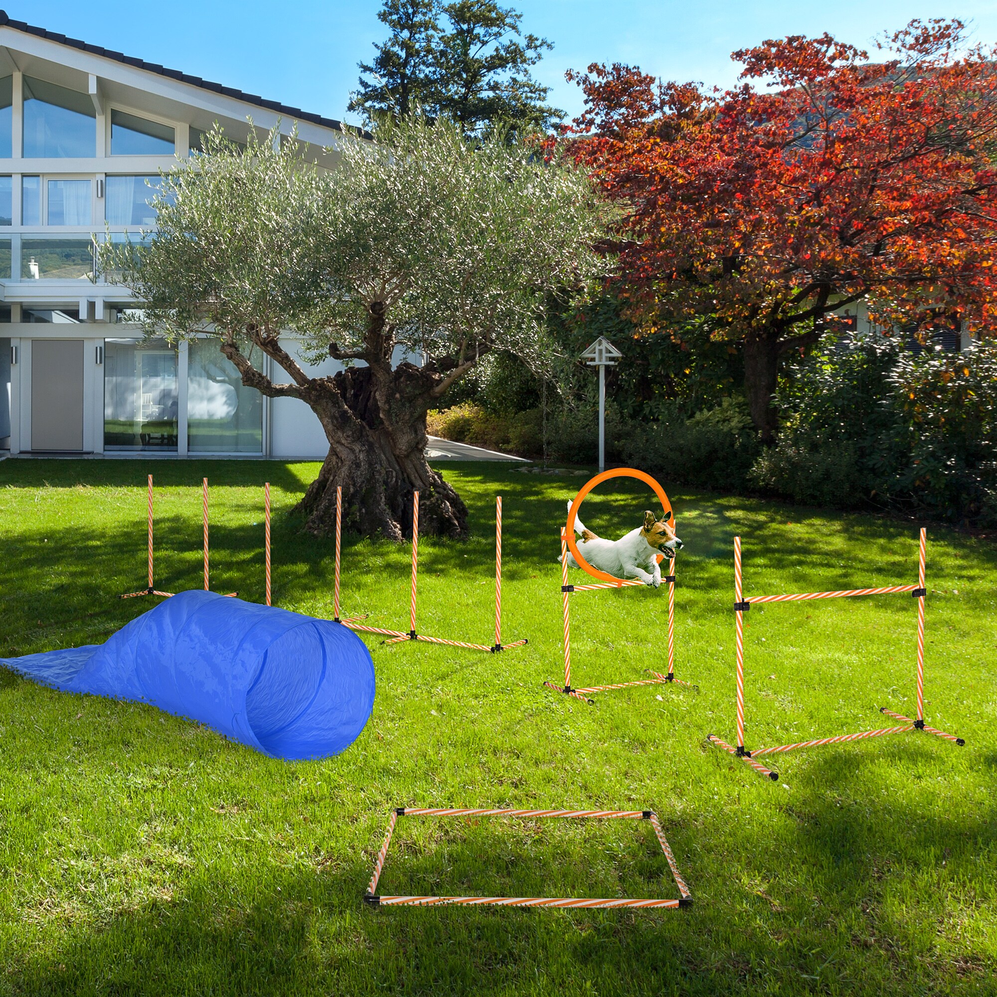 PawHut Hunde Agility Set 5-teilig orange, weiß 328 x 67 x 93 cm (LxBxH)