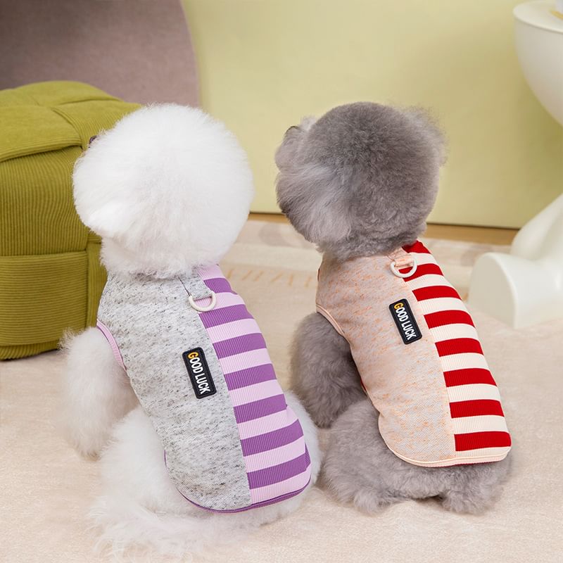 Cissilli - Gestreept Paneel Pet Top