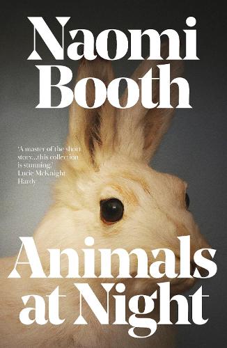 Animals at Night (Paperback)