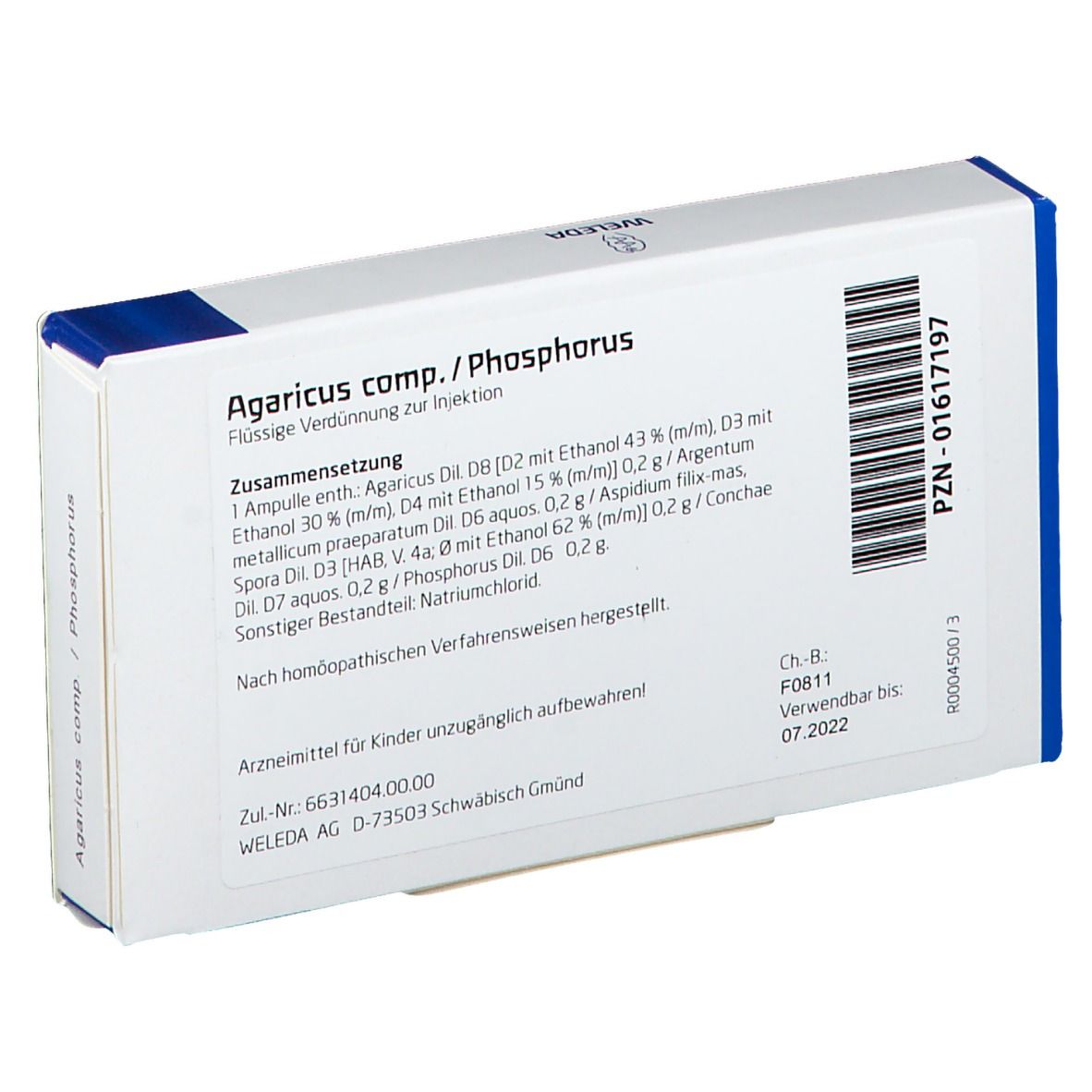 Agaricus comp. / Phosphorus