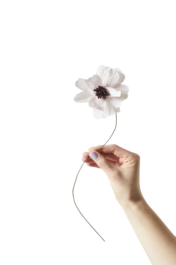 Studio About PAPER FLOWER, DAISY, PURPLE, 100430P 182