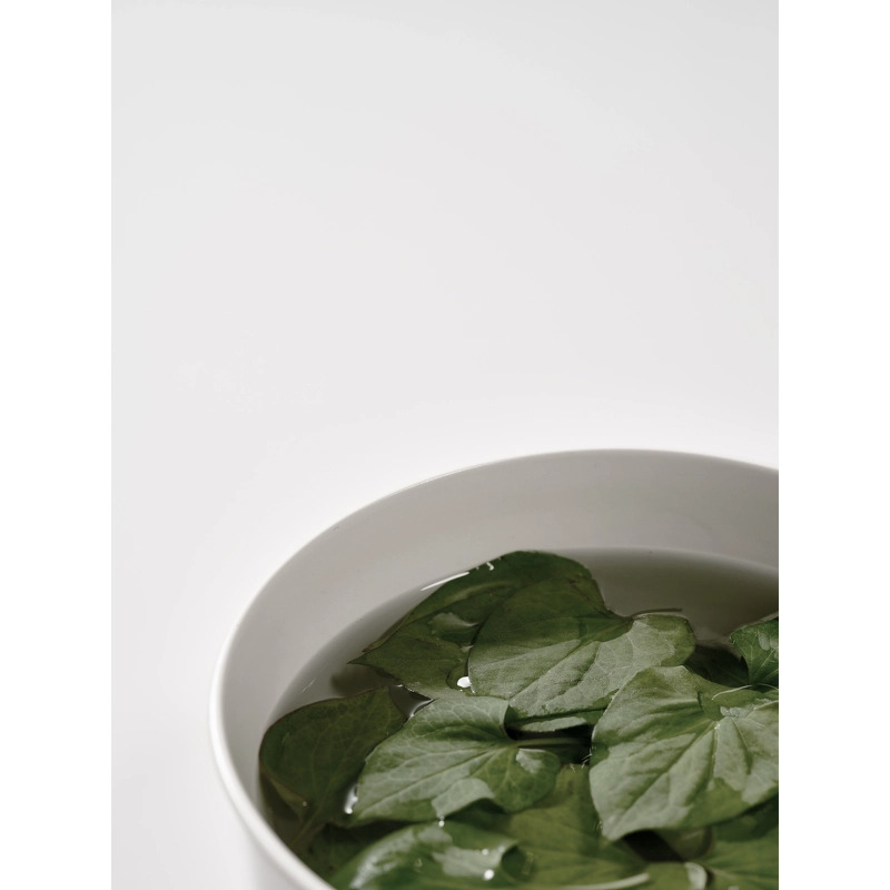 Anua Heartleaf 77% Soothing Toner 250 ml