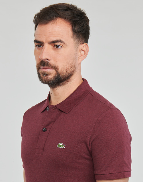 Lacoste - PH4012-SXL - Bordeaux foncé