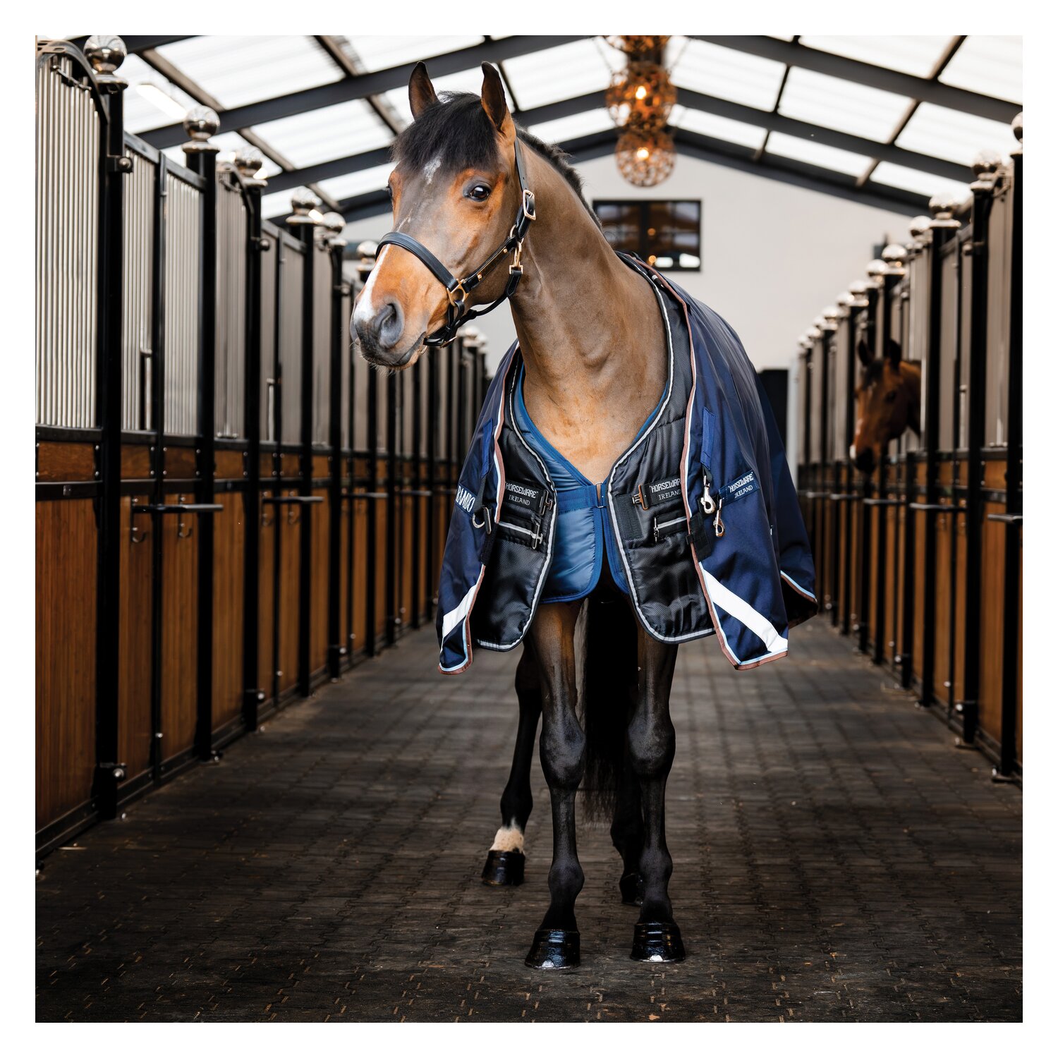 HORSEWARE Stalldecke Easy-Layer Stable 100g  - black / black&silver