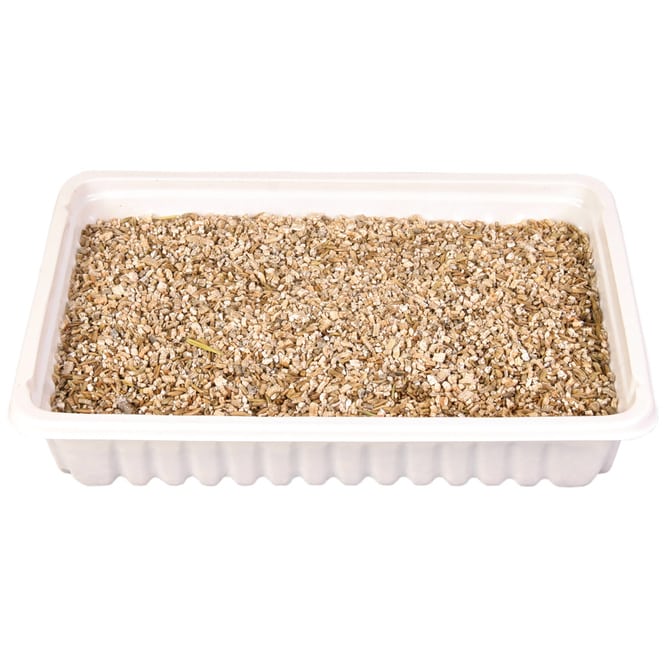 Jollypaw - Katzenzubehör - Katzengras - ca. 100 g