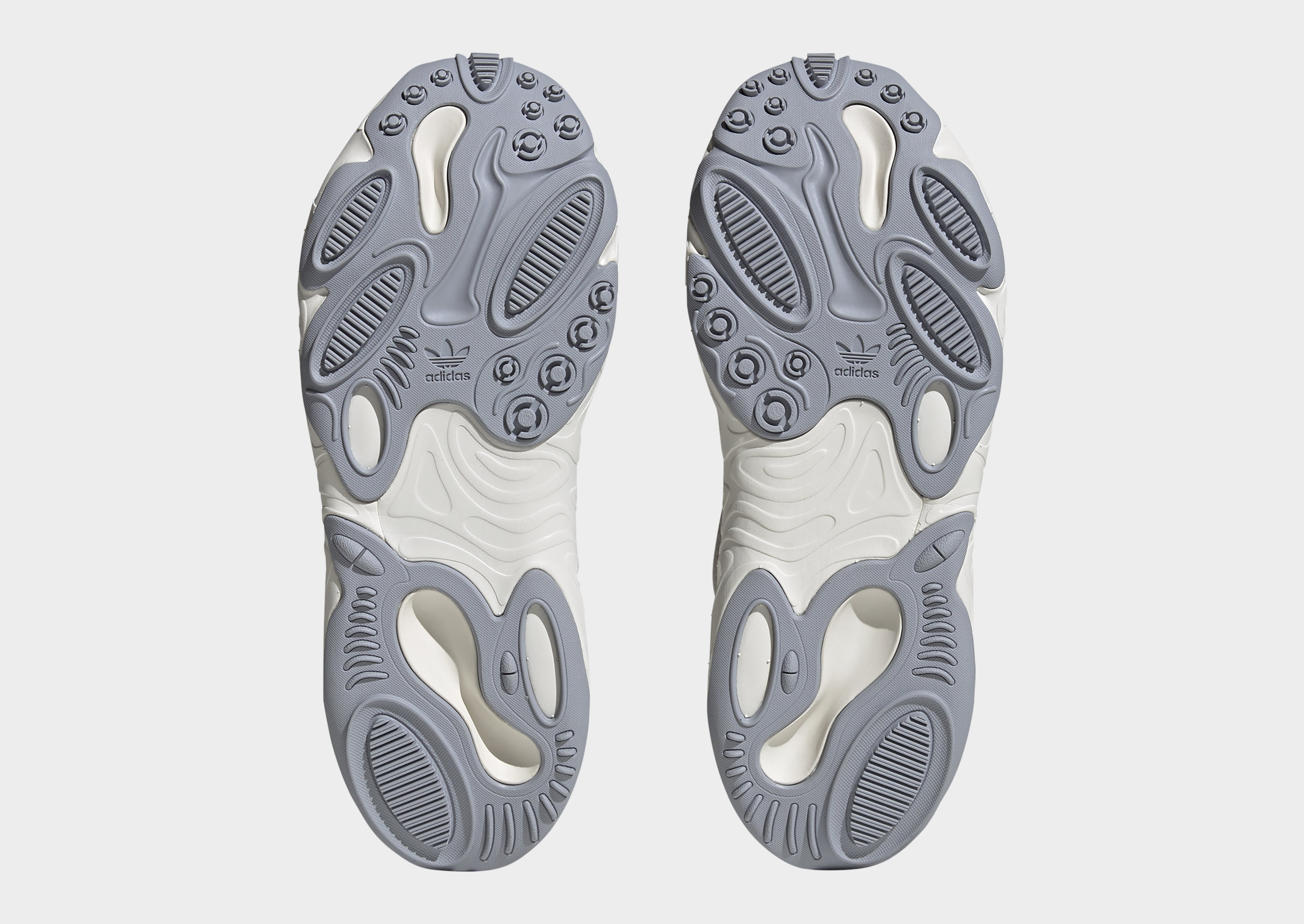 adidas Originals Chaussure OZNOVA
