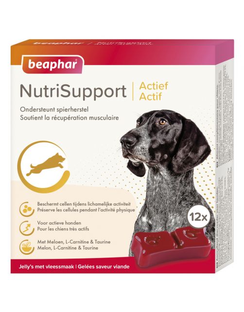 Beaphar Nutrisupport Actief - Voedingssupplement - Spieren - 12 stuks