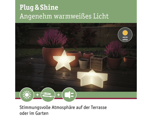 Paulmann Plug & Shine LED lichtobject Ster 2,8 W 160 lm 3000 K 230/24V