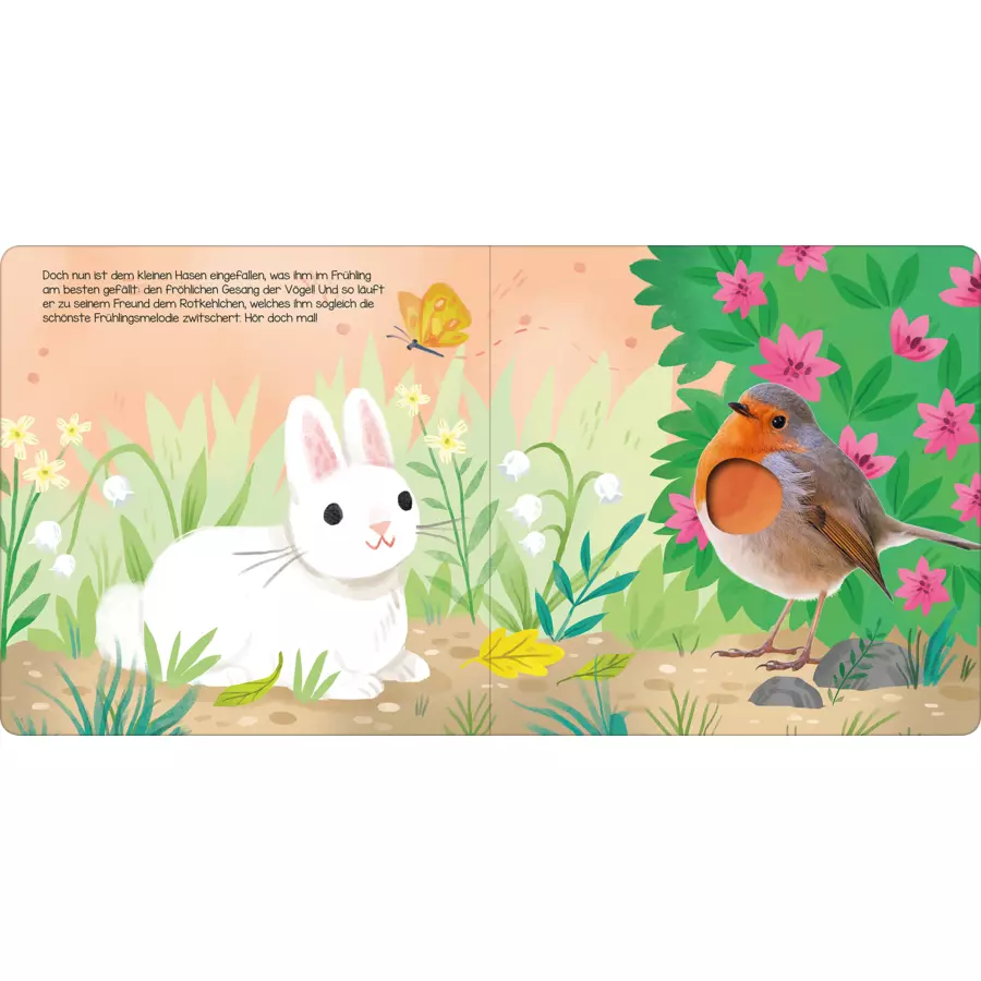 arsEdition Hör mal, kleiner Hase!