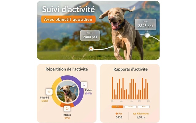 GPS-Hundetracker »Weenect für Hunde XT mit Halsband«