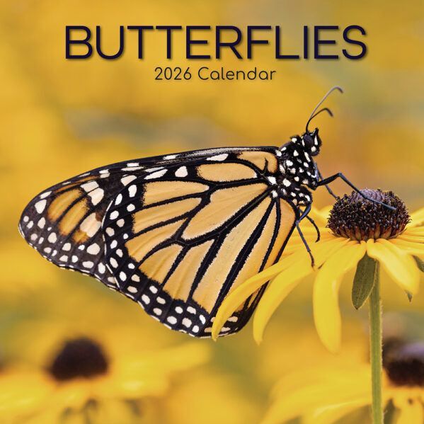 Vlinder Kalender 2026