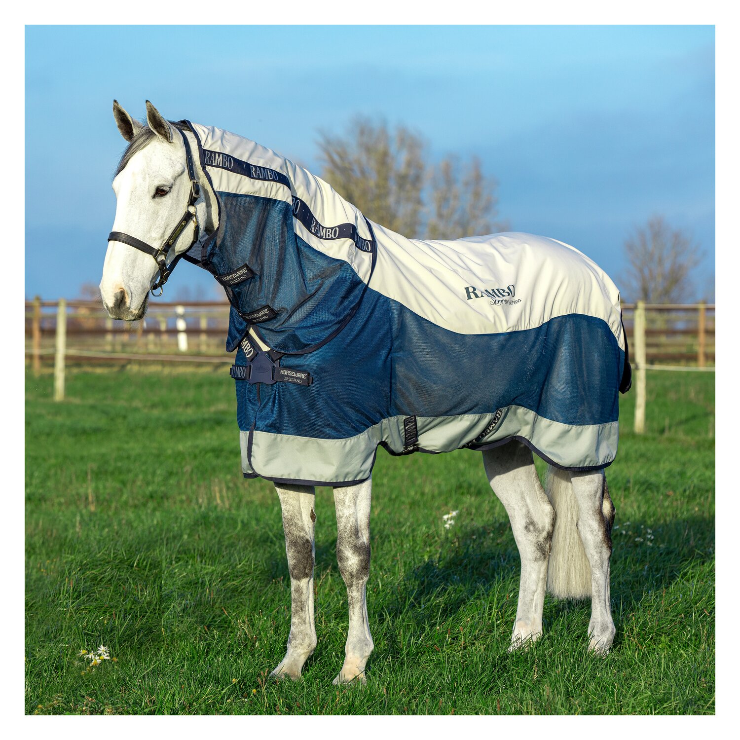 HORSEWARE Übergangsdecke RAMBO Summer Series Turnout -