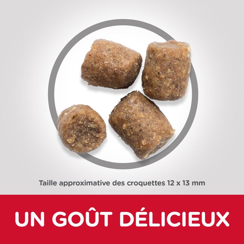 Hill's Science Plan Adult 1+ Performance poulet sur bitiba.fr