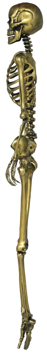Halloween Goud Skelet 90cm