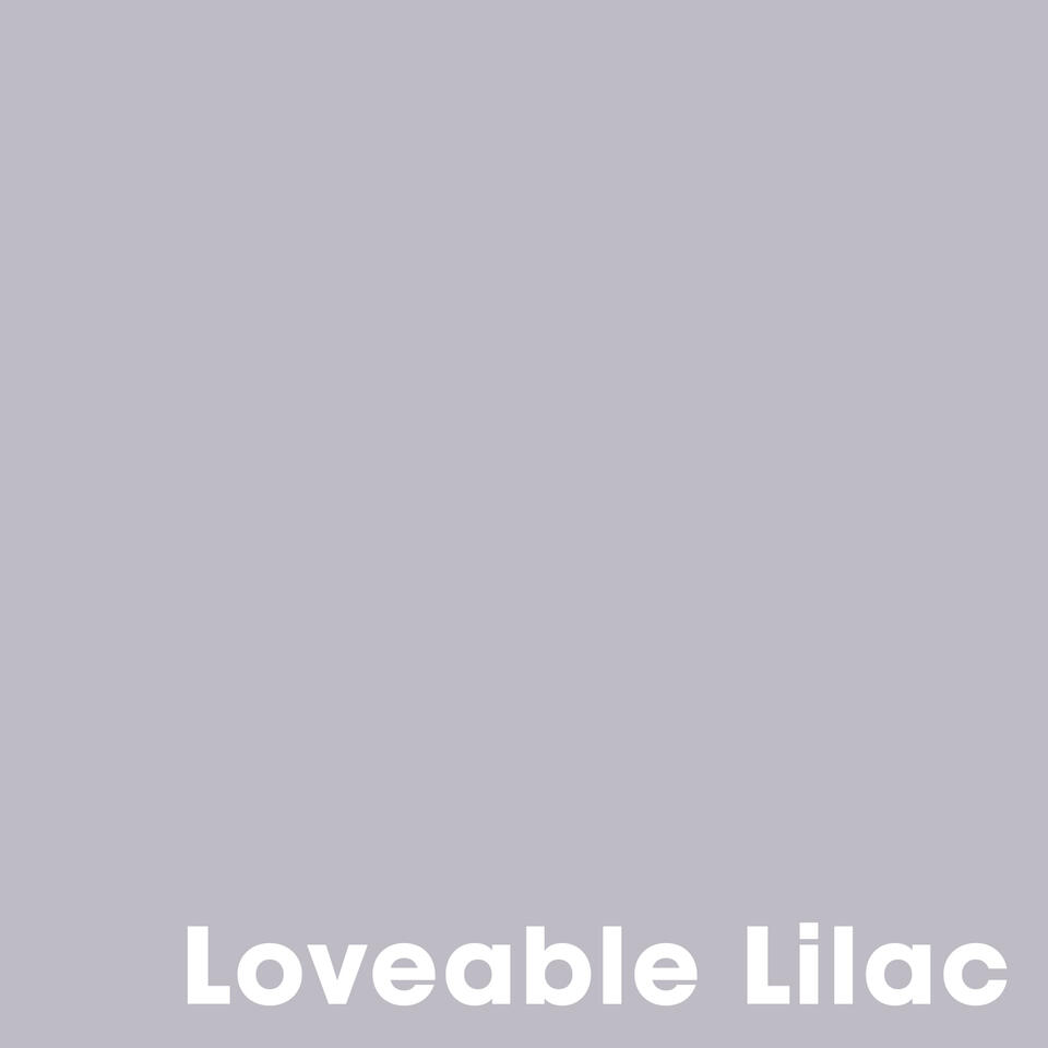Muurverf Professional Loveable Lilac 1 l