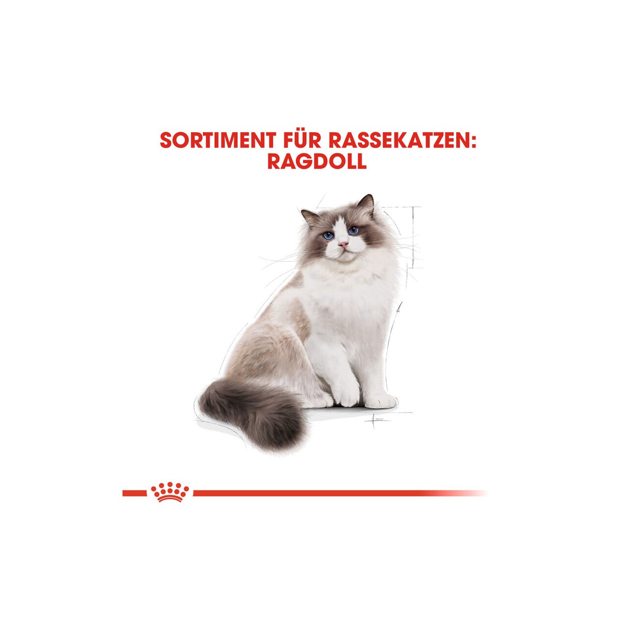ROYAL CANIN Ragdoll Adult 2 kg