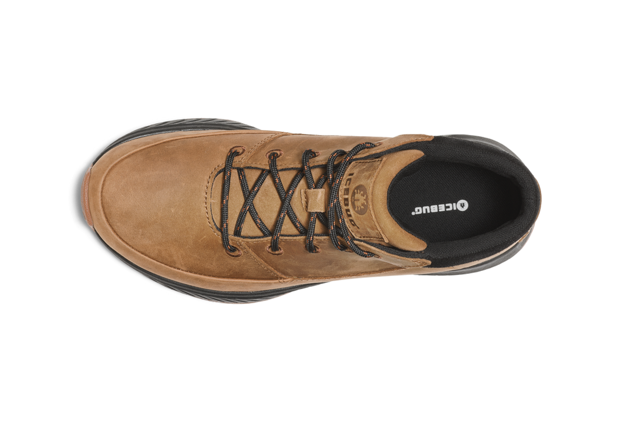Icebug<br>Larvik Biosole