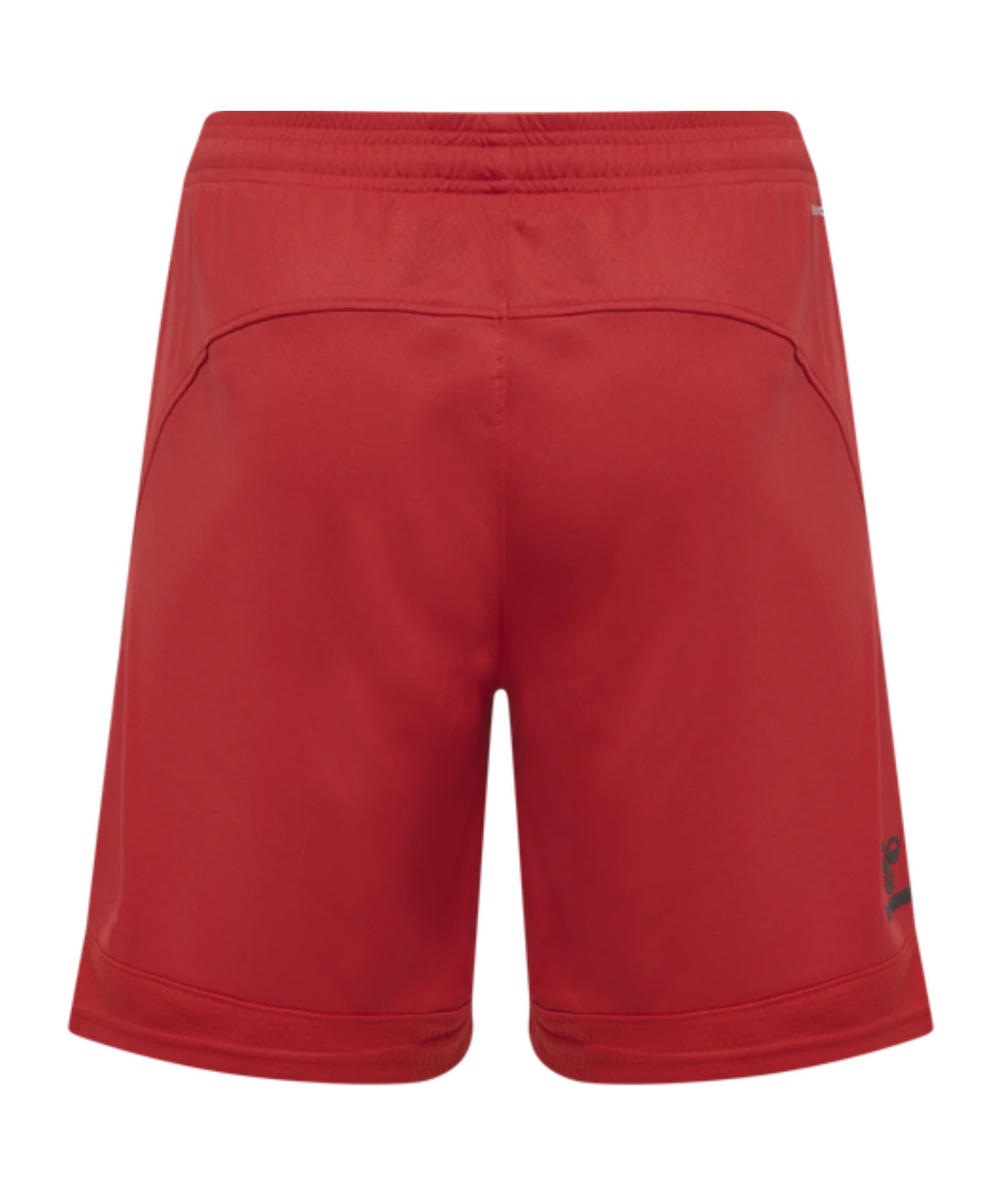 Hummel hmlLEAD Poly Short Rot F3062