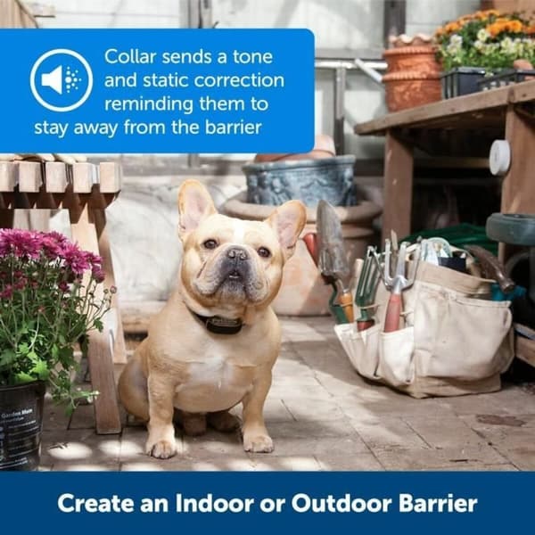 Anti-bark krage PetSafe Svart noir