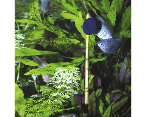 JBL Premium Aquariumthermometer