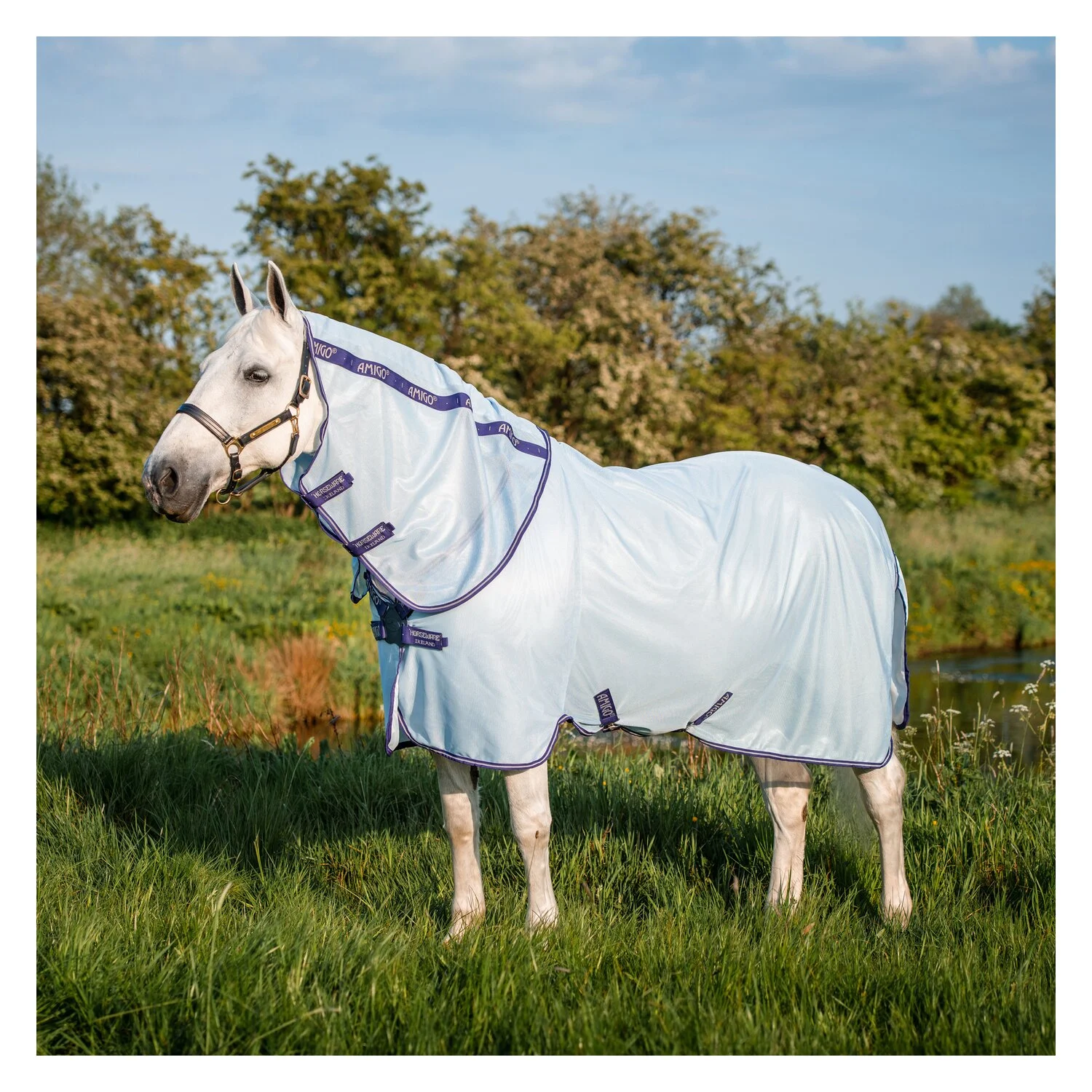 Horseware Fliegendecke Amigo XL Bug Rug  - azure blue/ atlantic blue
