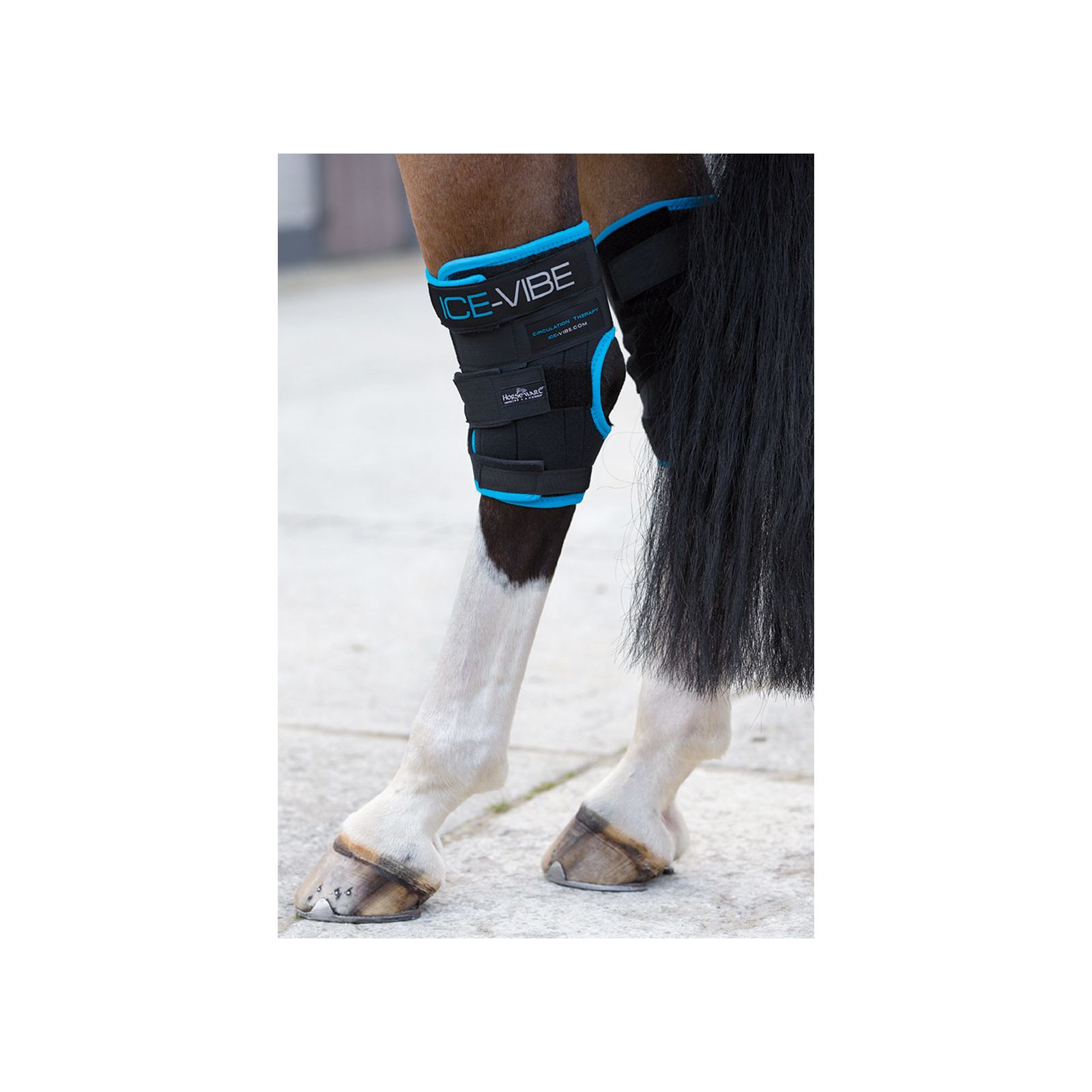 HORSEWARE Ice-Vibe Sprunggelenk-Gamaschen  - schwarz - WB