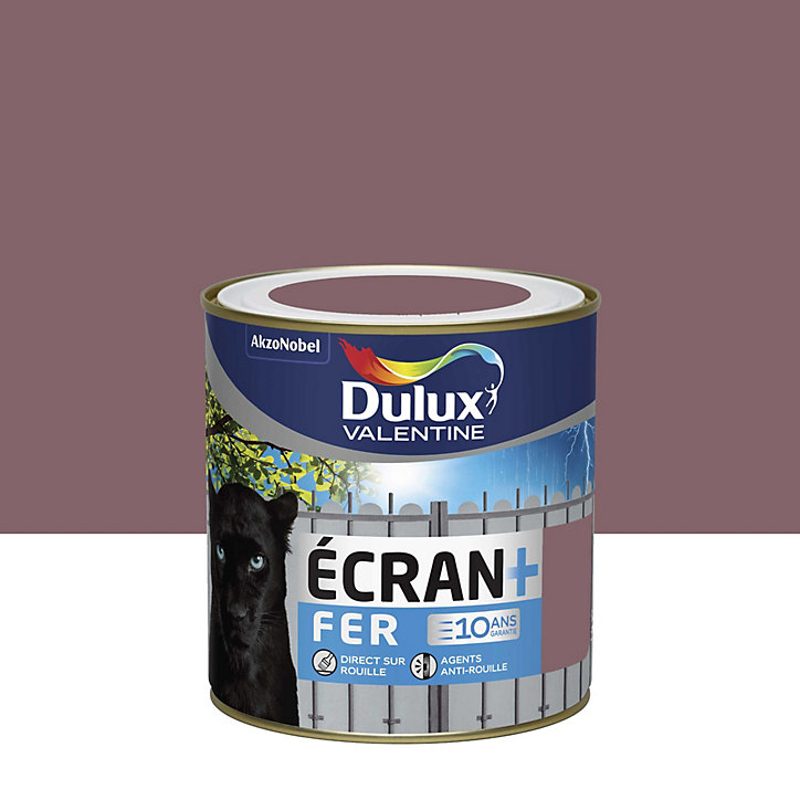 Peinture extérieure Ecran+ Fer protection antirouille Dulux Valentine brillant orage RAL 5014 0,5L