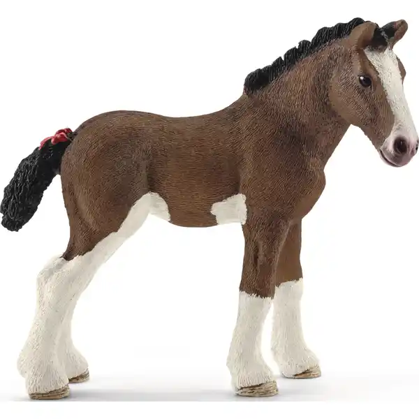 13810 Clydesdale Fohlen