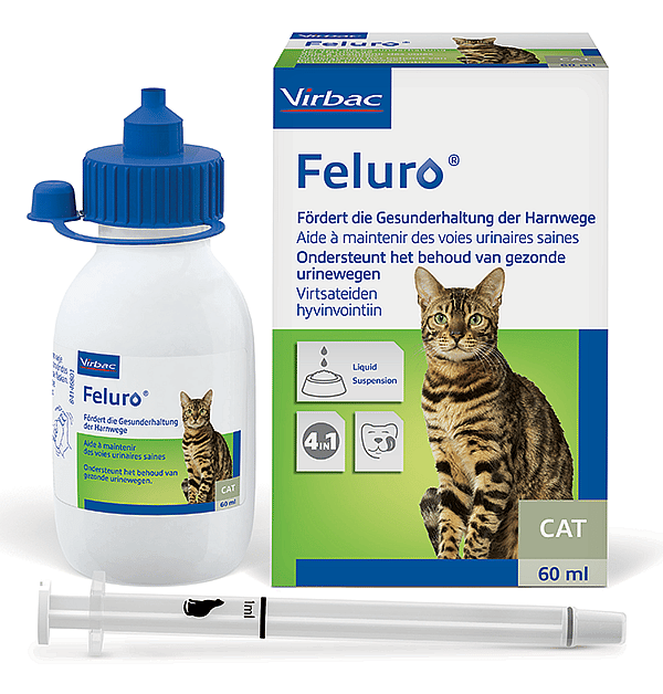 Feluro Urinewegen Kat 60 ml | 11910