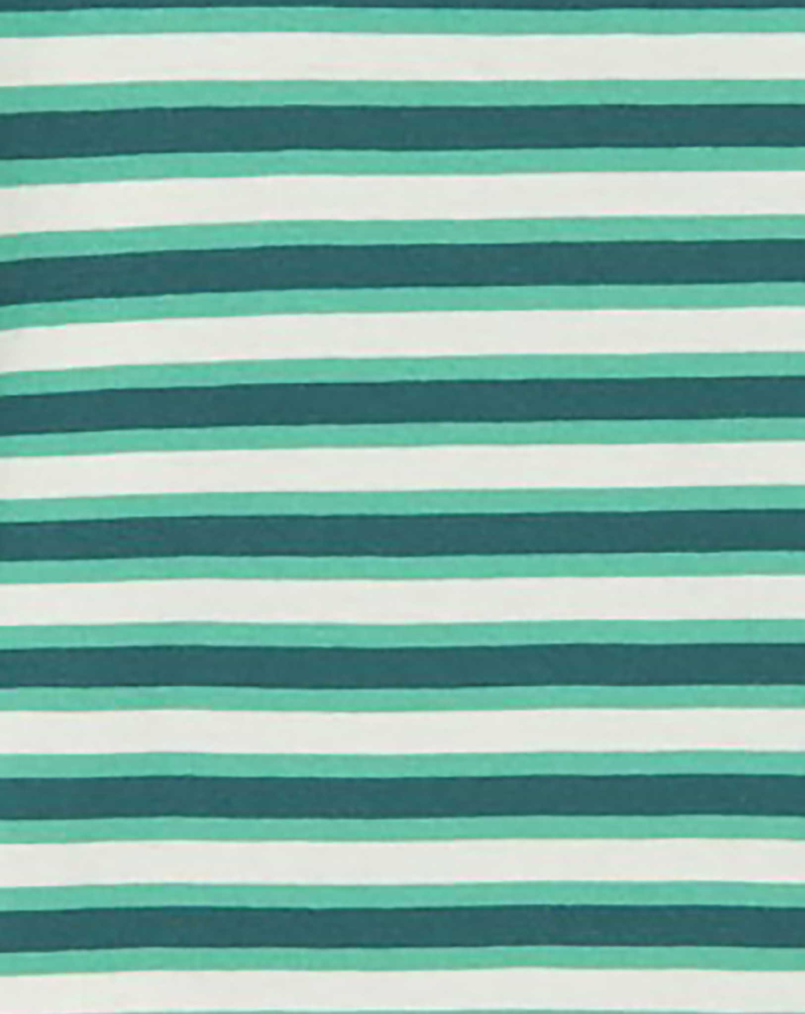 T-Shirt NMMDIKE CROCO gestreift in green spruce