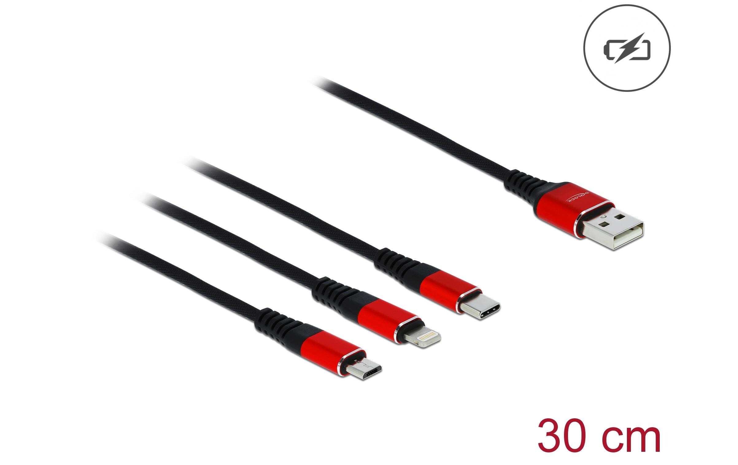 Travel Kit II Easy EditionDelock Travel Kit II Easy Edition – USB Hub mit Card Reader / 3 in 1 Ladekabel