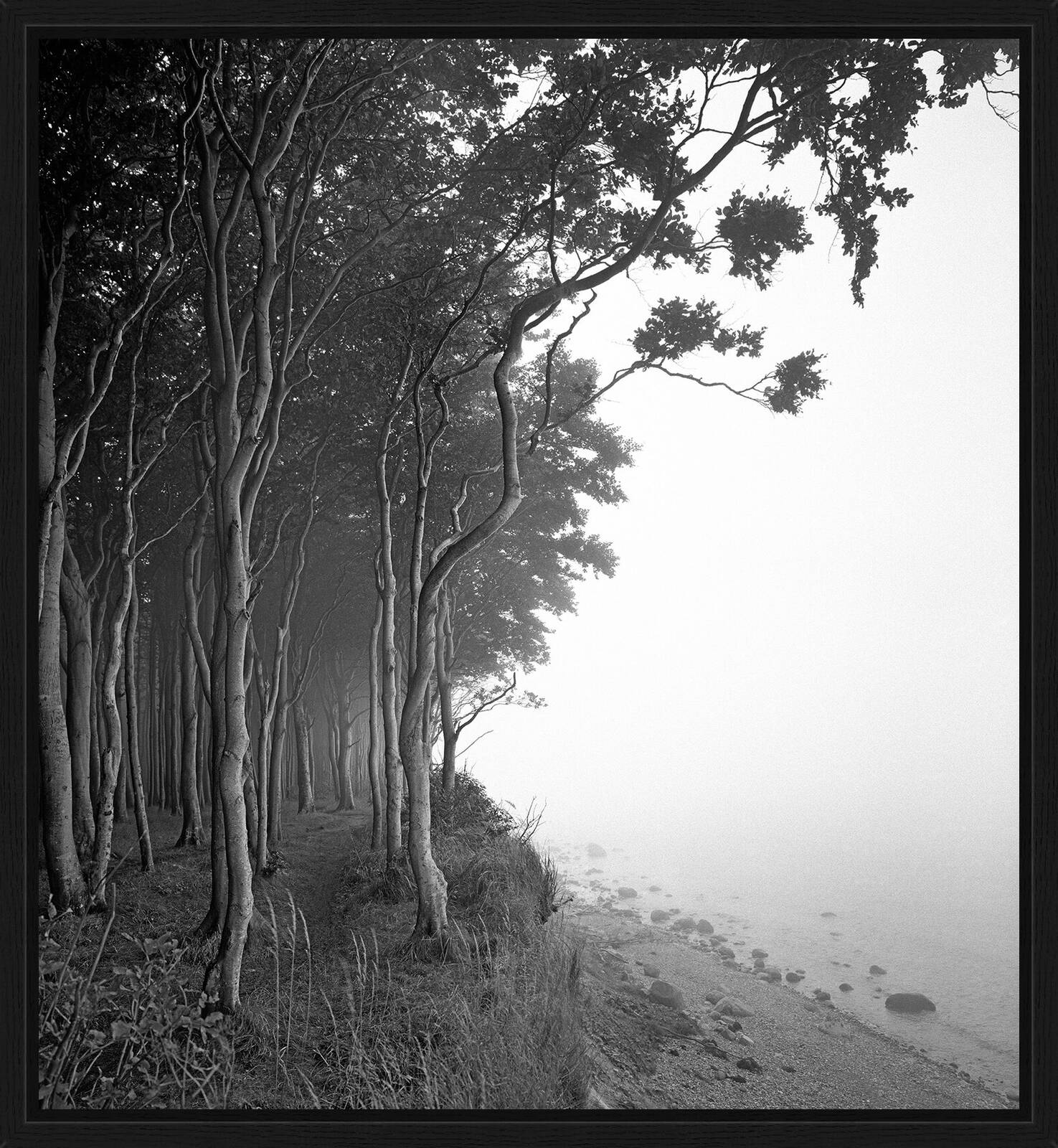 Wittow III by Ralph Von Kaufmann - Limited Edition. Edition of: 150. Signed.