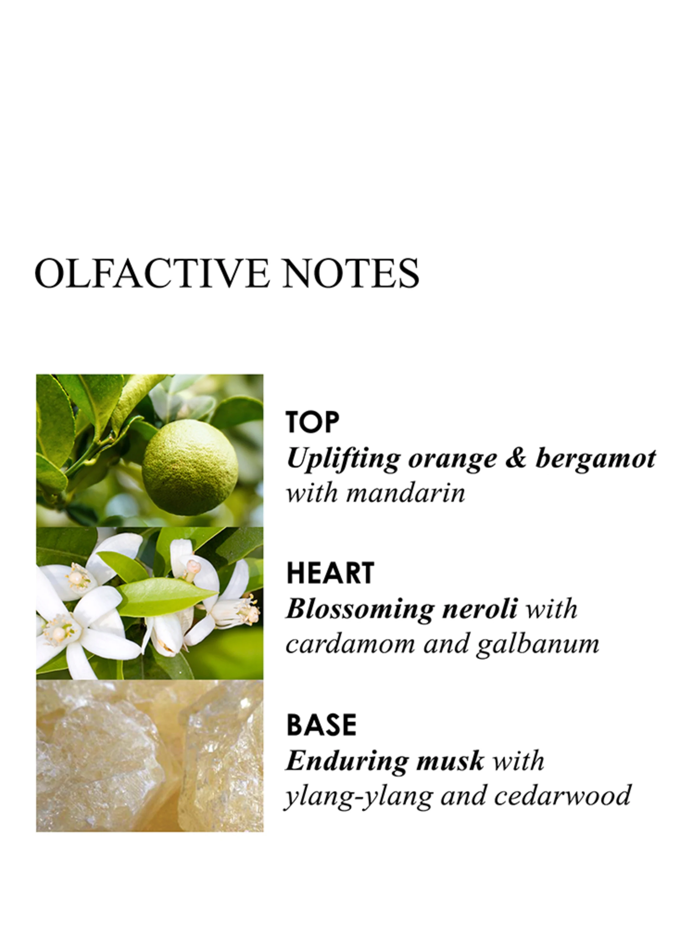 MOLTON BROWN ORANGE & BERGAMOT