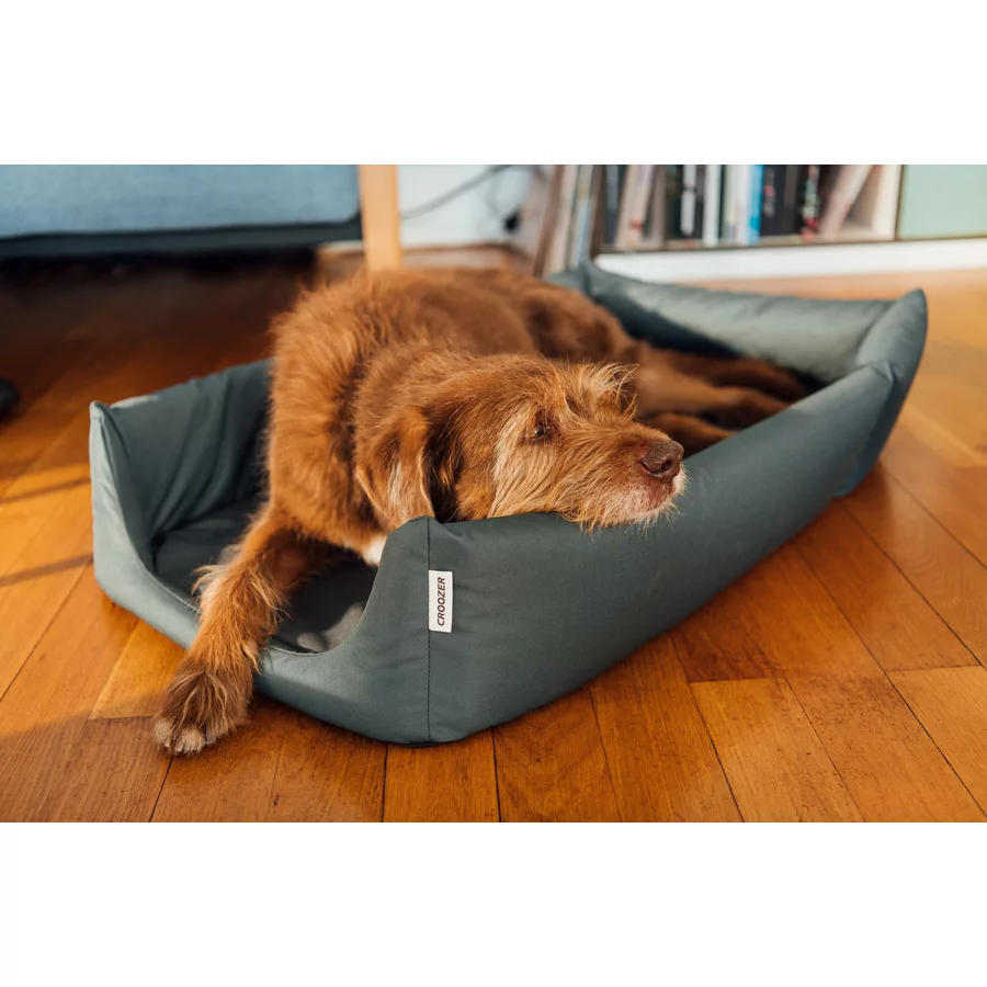 CROOZER Hundeanhänger Dog Mikke Colourful Journey