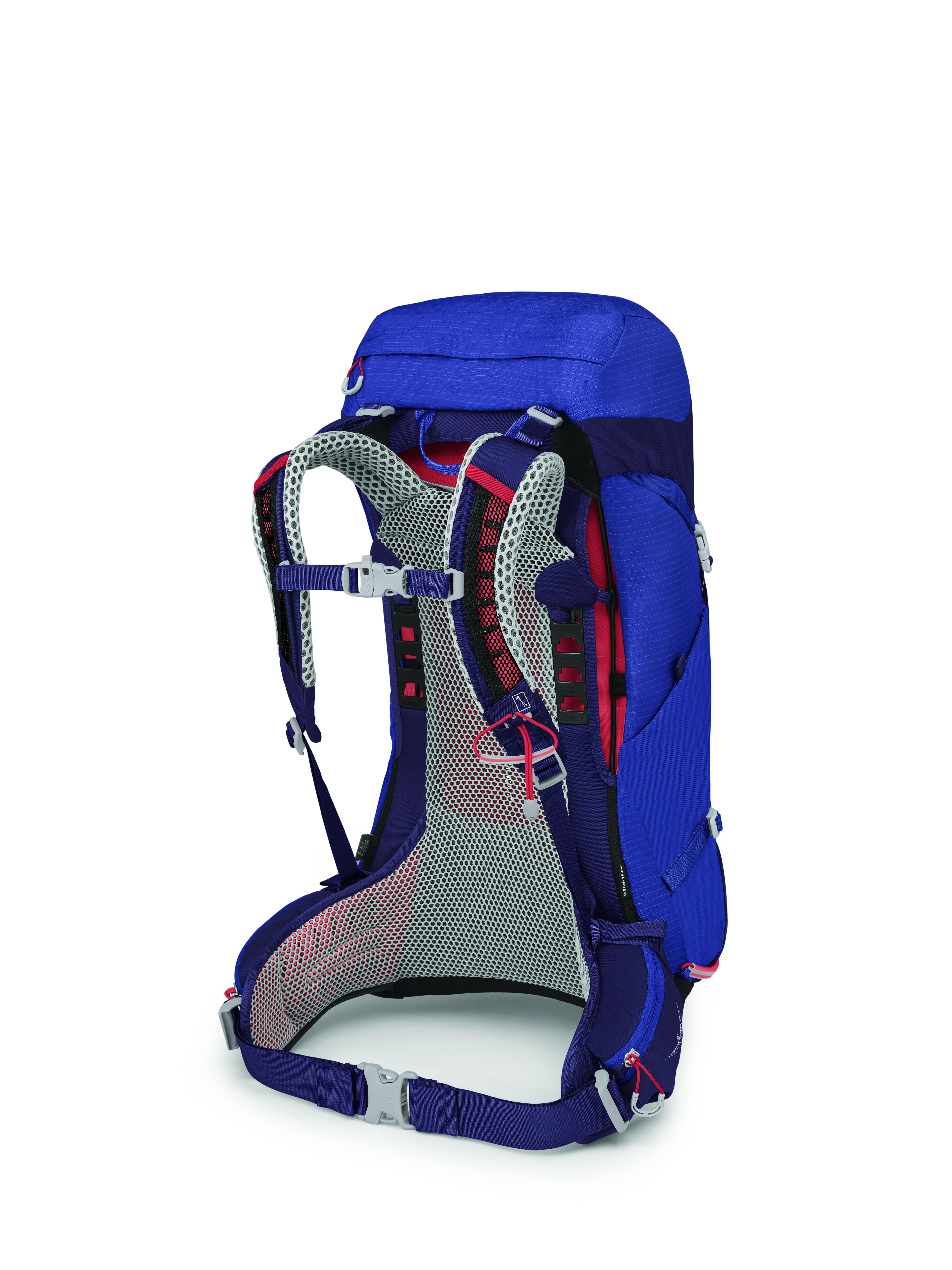 Sirrus 26 Dame 439/Blueberry