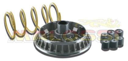 Variateur Malossi Multivar 2000