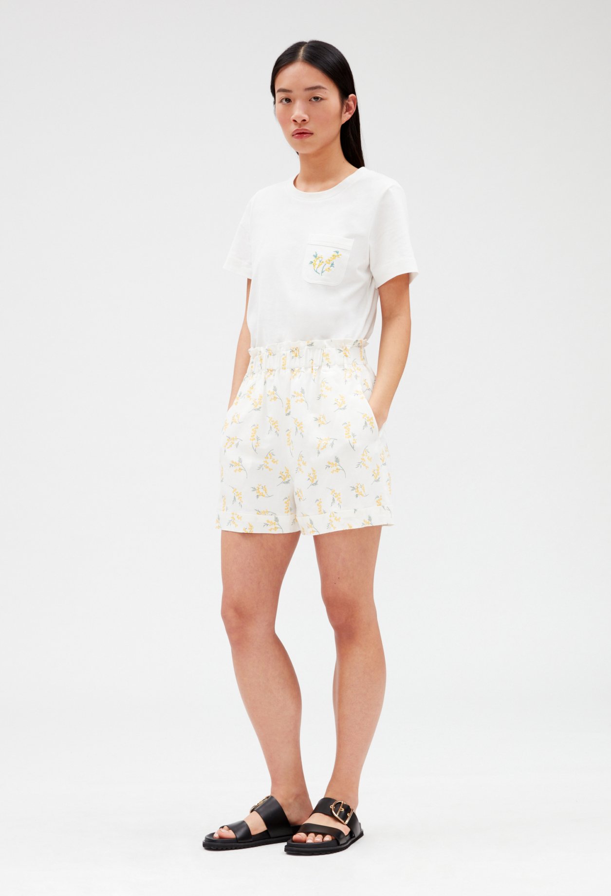 Short mimosa