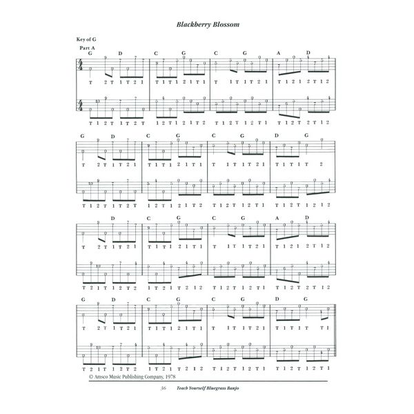 Music Sales Teach Yourself Bluegrass Banjo