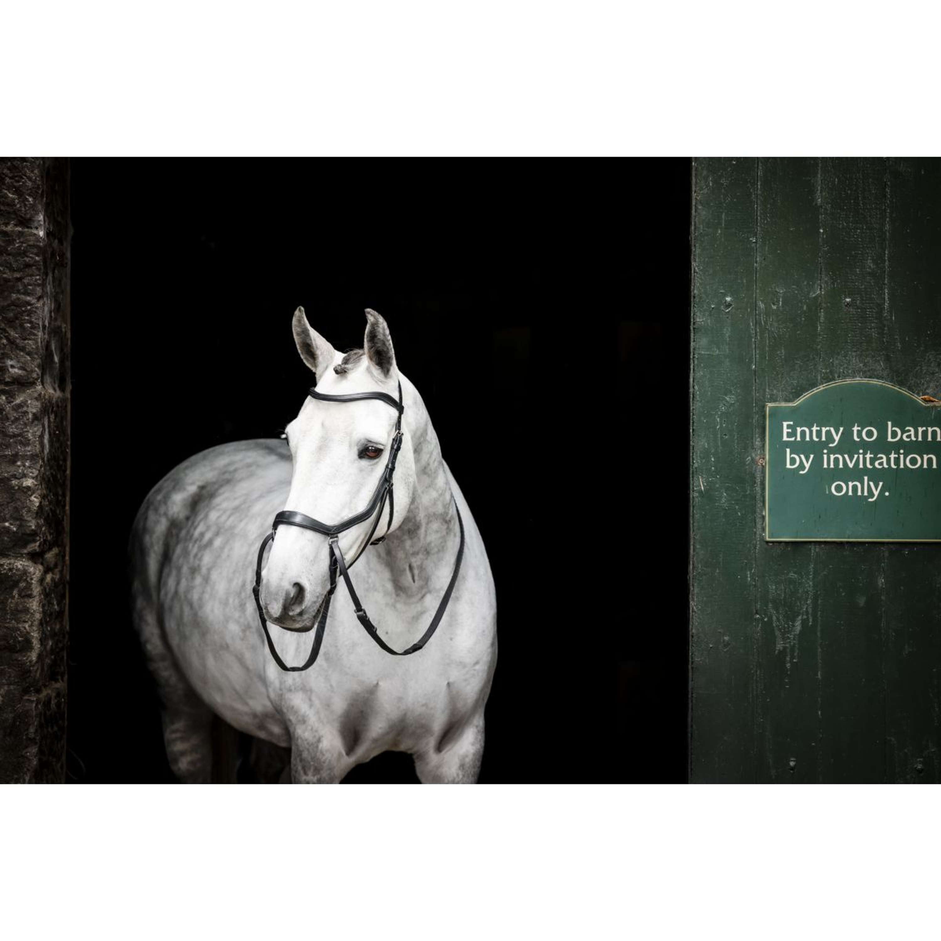 Rambo Micklem Bitless Bridle Zwart